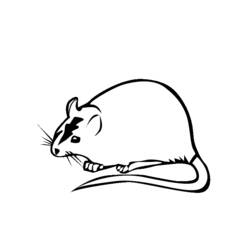 Раскраска: крыса (Животные) #15255 - Раскраски для печати