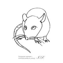 Раскраска: крыса (Животные) #15264 - Раскраски для печати