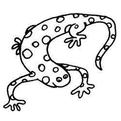 Раскраска: саламандра (Животные) #19895 - Раскраски для печати