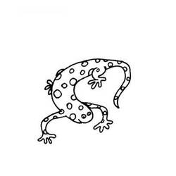Раскраска: саламандра (Животные) #19905 - Раскраски для печати