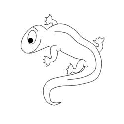 Раскраска: саламандра (Животные) #19906 - Раскраски для печати