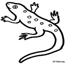 Раскраска: саламандра (Животные) #19911 - Раскраски для печати