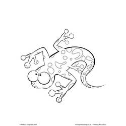 Раскраска: саламандра (Животные) #19944 - Раскраски для печати