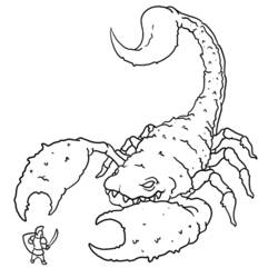 Раскраска: Скорпион (Животные) #14537 - Раскраски для печати