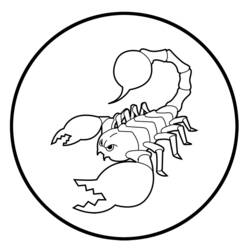 Раскраска: Скорпион (Животные) #14542 - Раскраски для печати