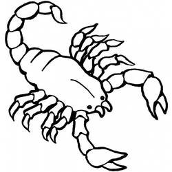 Раскраска: Скорпион (Животные) #14549 - Раскраски для печати