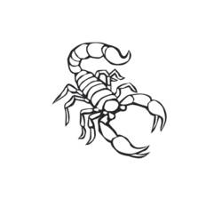 Раскраска: Скорпион (Животные) #14552 - Раскраски для печати