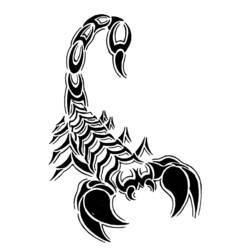 Раскраска: Скорпион (Животные) #14576 - Раскраски для печати