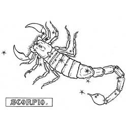 Раскраска: Скорпион (Животные) #14596 - Раскраски для печати