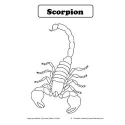 Раскраска: Скорпион (Животные) #14610 - Раскраски для печати