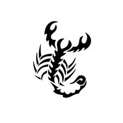 Раскраска: Скорпион (Животные) #14618 - Раскраски для печати