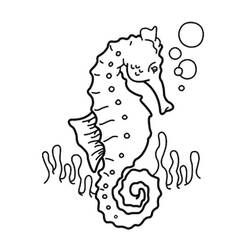 Раскраска: морской конек (Животные) #18587 - Раскраски для печати