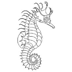 Раскраска: морской конек (Животные) #18601 - Раскраски для печати