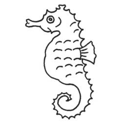Раскраска: морской конек (Животные) #18608 - Раскраски для печати