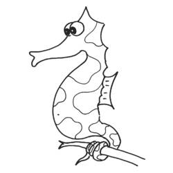 Раскраска: морской конек (Животные) #18616 - Бесплатные раскраски для печати