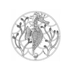Раскраска: морской конек (Животные) #18618 - Раскраски для печати