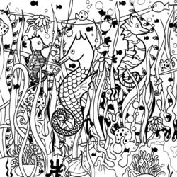 Раскраска: морской конек (Животные) #18642 - Бесплатные раскраски для печати