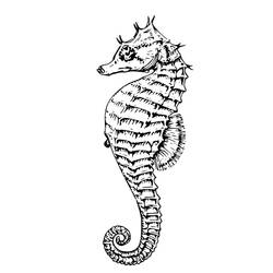 Раскраска: морской конек (Животные) #18660 - Раскраски для печати