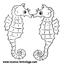 Раскраска: морской конек (Животные) #18670 - Раскраски для печати