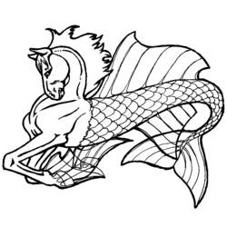 Раскраска: морской конек (Животные) #18674 - Раскраски для печати