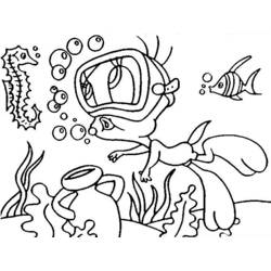 Раскраска: морской конек (Животные) #18726 - Раскраски для печати
