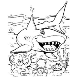 Раскраска: акула (Животные) #14763 - Раскраски для печати