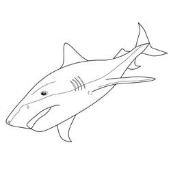 Раскраска: акула (Животные) #14764 - Раскраски для печати