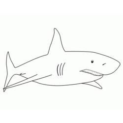 Раскраска: акула (Животные) #14766 - Раскраски для печати
