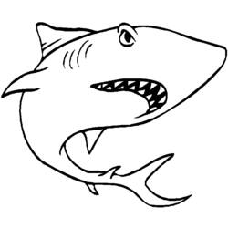 Раскраска: акула (Животные) #14767 - Раскраски для печати