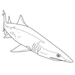 Раскраска: акула (Животные) #14771 - Бесплатные раскраски для печати