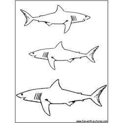 Раскраска: акула (Животные) #14776 - Раскраски для печати