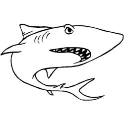 Раскраска: акула (Животные) #14779 - Бесплатные раскраски для печати