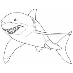 Раскраска: акула (Животные) #14780 - Раскраски для печати
