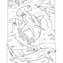 Раскраска: акула (Животные) #14784 - Бесплатные раскраски для печати
