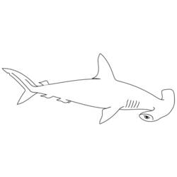 Раскраска: акула (Животные) #14787 - Раскраски для печати