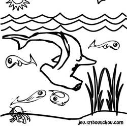 Раскраска: акула (Животные) #14788 - Бесплатные раскраски для печати