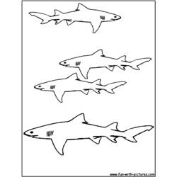 Раскраска: акула (Животные) #14800 - Бесплатные раскраски для печати