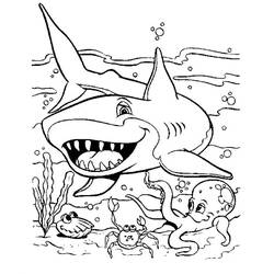 Раскраска: акула (Животные) #14802 - Раскраски для печати