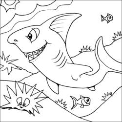 Раскраска: акула (Животные) #14811 - Бесплатные раскраски для печати