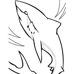 Раскраска: акула (Животные) #14822 - Бесплатные раскраски для печати