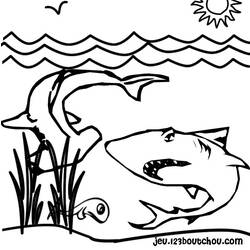 Раскраска: акула (Животные) #14831 - Бесплатные раскраски для печати