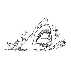 Раскраска: акула (Животные) #14835 - Бесплатные раскраски для печати