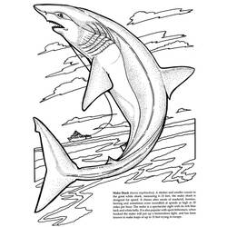 Раскраска: акула (Животные) #14839 - Бесплатные раскраски для печати