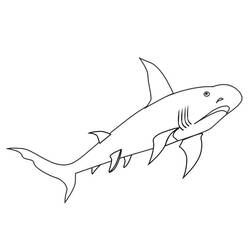 Раскраска: акула (Животные) #14851 - Бесплатные раскраски для печати