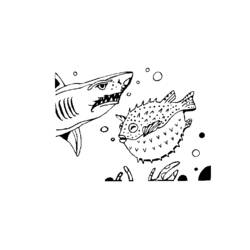 Раскраска: акула (Животные) #14856 - Бесплатные раскраски для печати