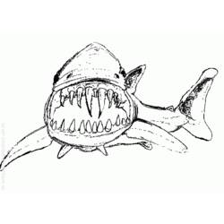 Раскраска: акула (Животные) #14857 - Раскраски для печати