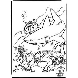 Раскраска: акула (Животные) #14878 - Бесплатные раскраски для печати