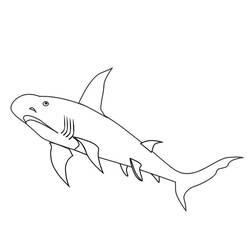 Раскраска: акула (Животные) #14882 - Бесплатные раскраски для печати