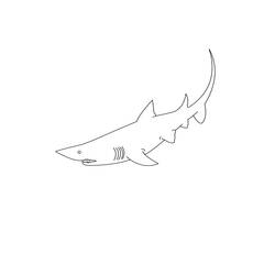 Раскраска: акула (Животные) #14906 - Бесплатные раскраски для печати