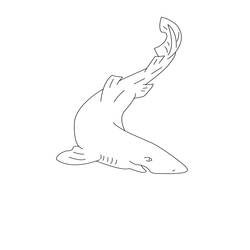 Раскраска: акула (Животные) #14907 - Бесплатные раскраски для печати
